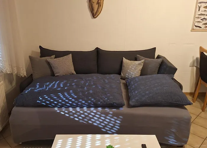 Seestern - Monteure & Geschaeftsreisende